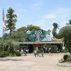 San Diego Zoo