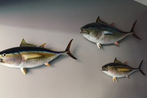 El Pescador Fish Market 2 San Diego 250 Good Eats Local Mike Puckett DDM