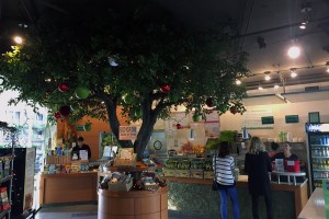 Lean and Green Cafe 2 San Diego 250 Good Eats Local Mike Puckett DDM