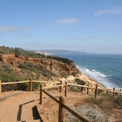 Torrey Pines State Reserve